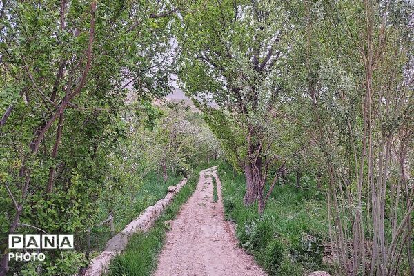 آلبوم تصویری از طبیعت زیبای شهر بار در اردیبهشت‌ماه  ۱۴۰۵ـ۲