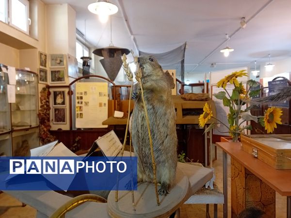 بازدید  خبرنگاران مسئله محور از موسسه گیاه پزشکی تهران