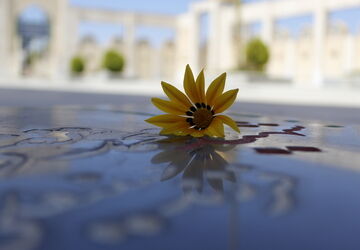 شهید دانش‌آموزی از درق، مرد میدان این هفته شبکه اترک شد