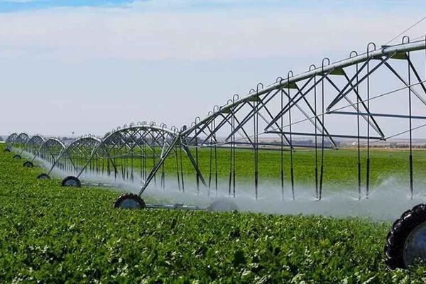 ۴۰ درصد اراضی آبی کشور به سیستم‌های نوین آبیاری مجهز شده است