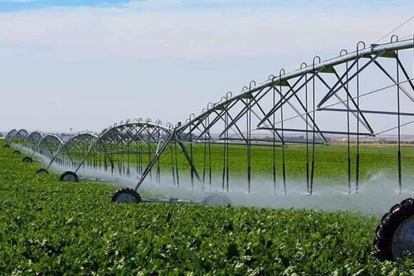 ۴۰ درصد اراضی آبی کشور به سیستم‌های نوین آبیاری مجهز شده است
