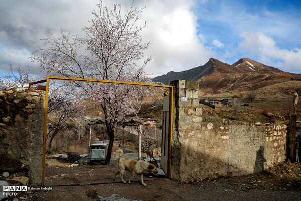 روستای خفر _ نوروز 1405