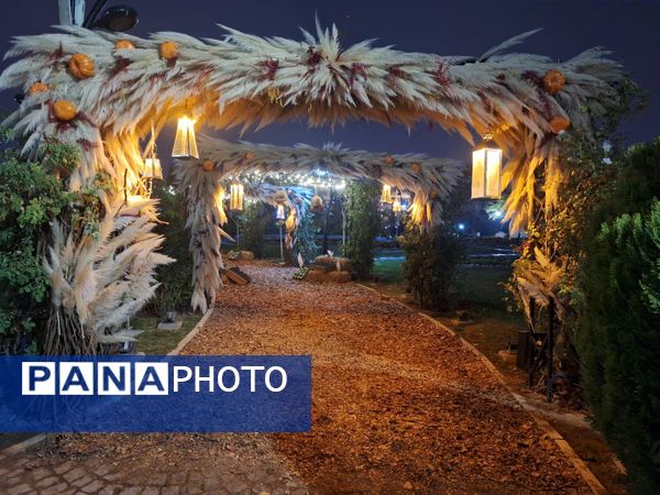 زیبایی باغ گل‌های مشهد در پاییز