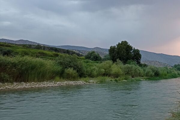نجوای ارمند؛ سمفونی طبیعت در آبچنار
