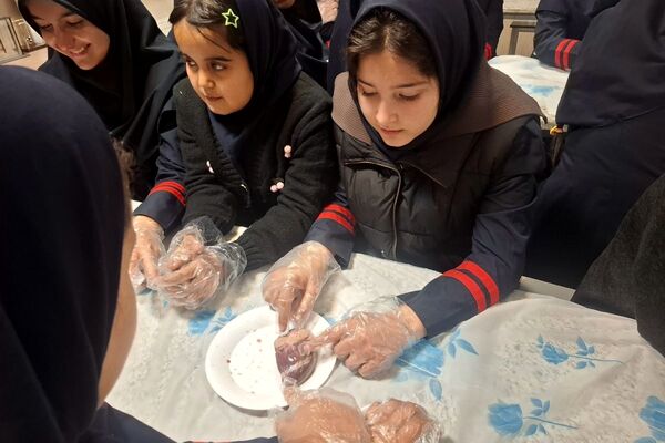 کارگاه تشریح قلب برای دانش آموزان فرزانگان شهرستان ملارد