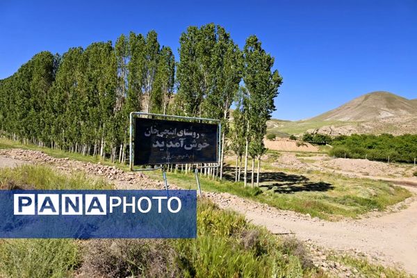 شیوع بیماری زنگ زرد در مزارع گندم و جو در روستاهای دهستان سنگر شهرستان فاروج