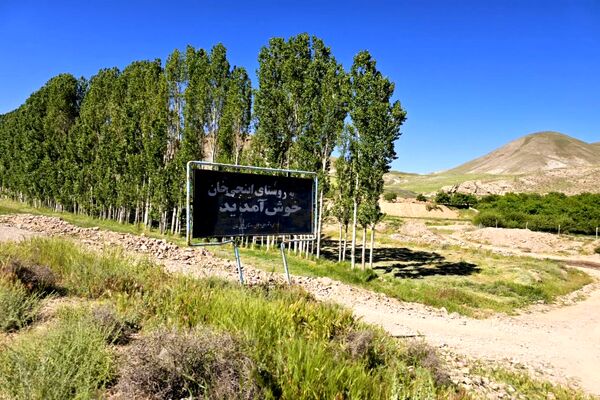 شیوع بیماری زنگ زرد در مزارع گندم و جو در روستاهای دهستان سنگر شهرستان فاروج