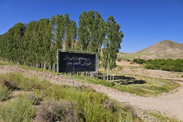 شیوع بیماری زنگ زرد در مزارع گندم و جو در روستاهای دهستان سنگر شهرستان فاروج