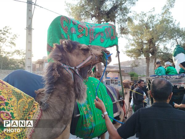 دسته بنی اسد در کاشمر 
