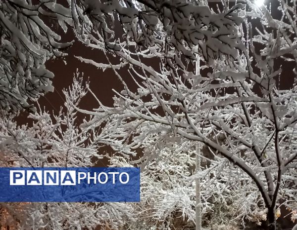 بارش برف در شهر زیبای مشهد 