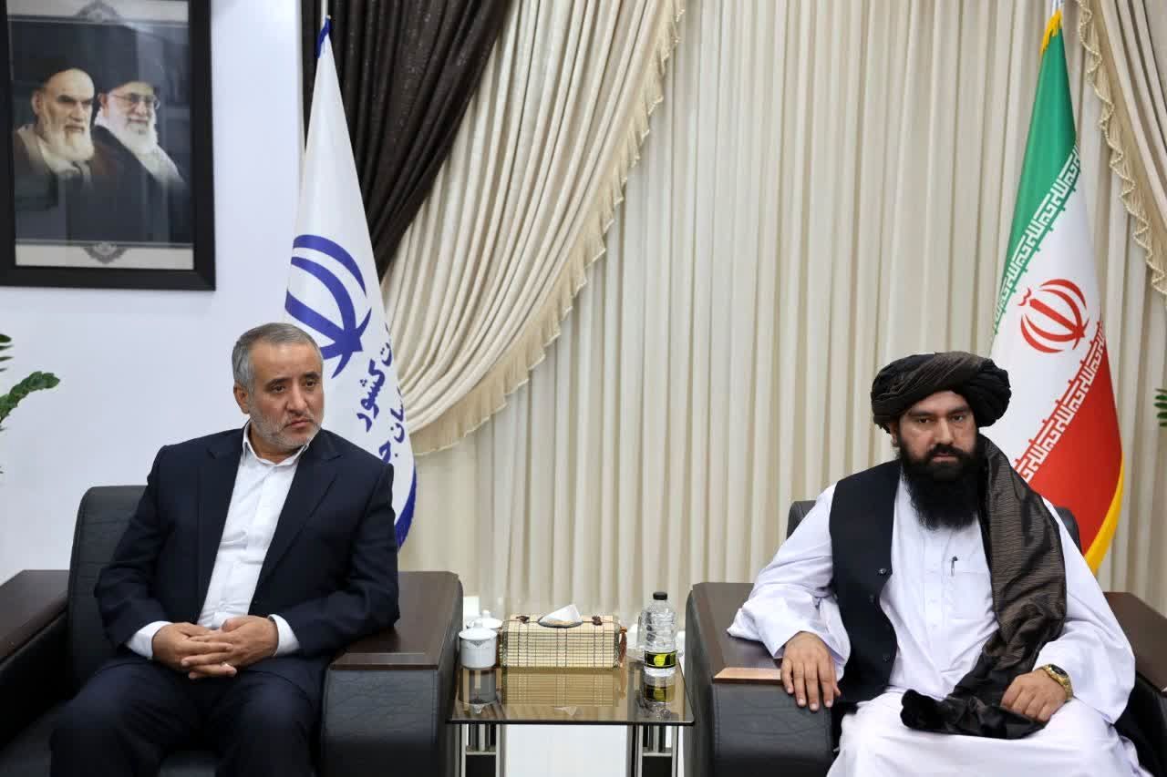 روابط استان خراسان جنوبی و ولایت فراه تقویت شود