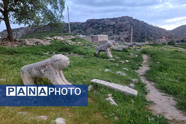 قبرستانی تاریخی و سرسبز به قدمت چند صد ساله در فارس