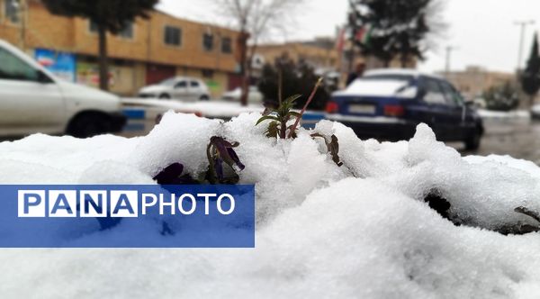 لردگان میزبان اولین برف زمستانی 