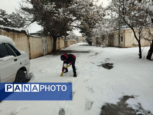 بارش برف در شهرستان تربت جام