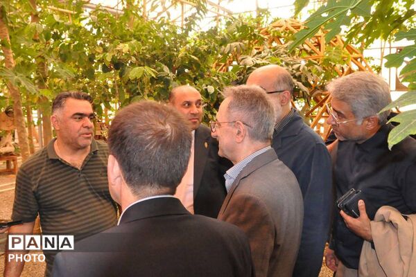 بازدید فرماندار ورامین و معاون گردشگری وزارت میراث از مزارع استوایی پاپایا در شهرستان ورامین 