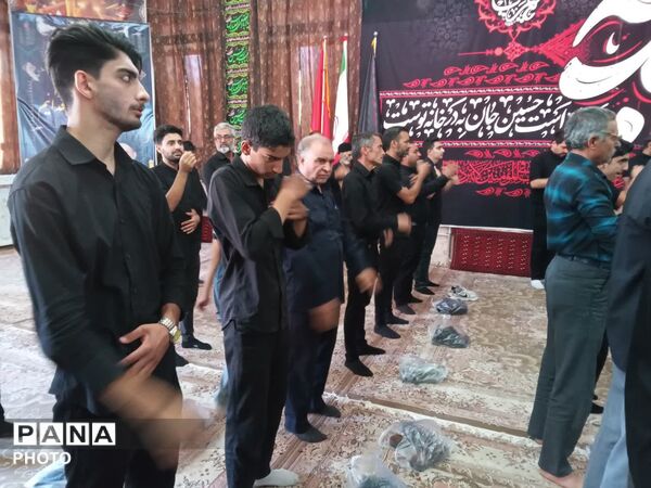 میزبانی هیئت شاهزاده قاسم از آیین دسته‌روی هیئت‌های فدافن 