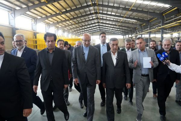 معاون رئیس جمهور: دولت حامی سرمایه‌گذاران و رزمندگان جنگ اقتصادی است