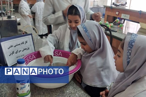 مزه شیرین علم، بستنی علمی