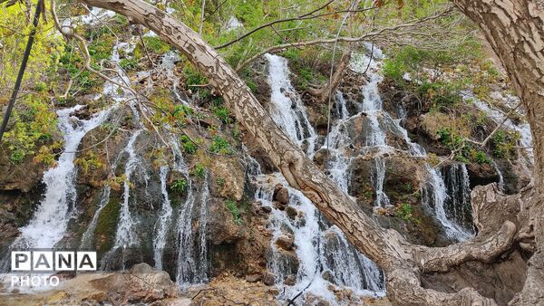 آلبوم تصویری از طبیعت زیبای شهر بار در اردیبهشت‌ماه  ۱۴۰۵ -1