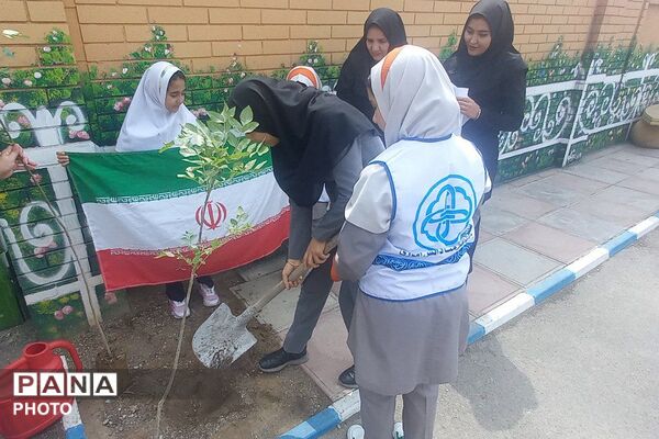 اجرای پویش ملی «نهال امید» در مدارس منطقه 