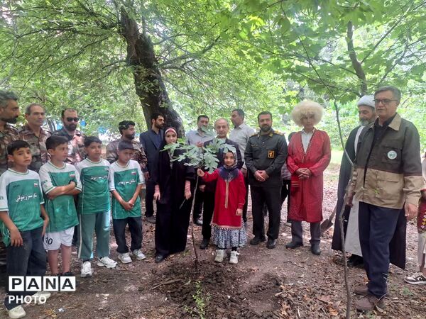 سرو ایران در آزادشهر ریشه دواند