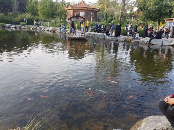 اردیبهشت زیبای باغ گیاهشناسی مشهد
