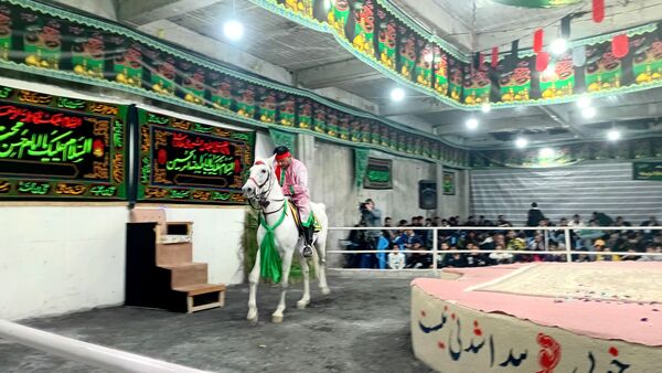 عطر غربت فاطمی در مارکده پیچید