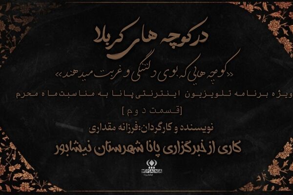 در کوچه های کربلا