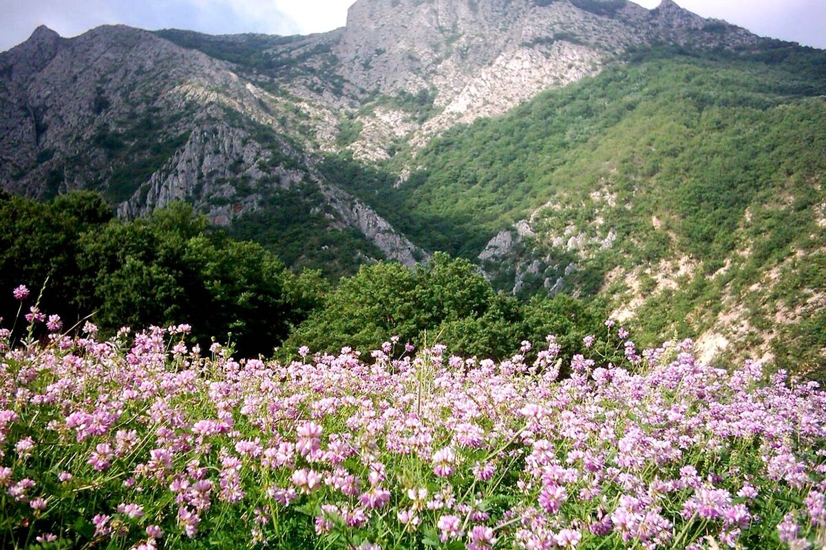 «هاور» مقصدی برای آرامش