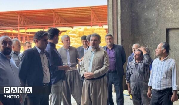 بازدید فرماندار مریوان از مواکب مستقر در پایانه مرزی باشماق