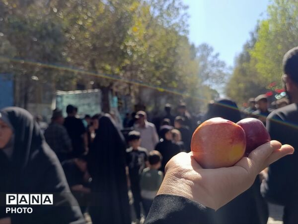 خدمت‌رسانی موکب ها در ایام شهادت حضرت معصومه(س)
