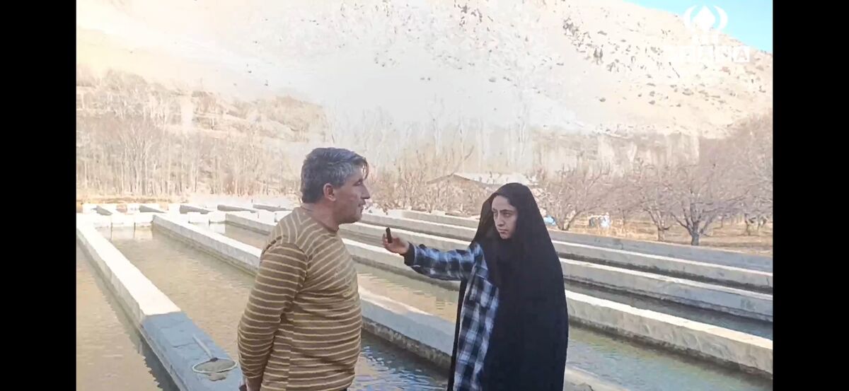 زخم سیلاب بر شیلات ونایی 