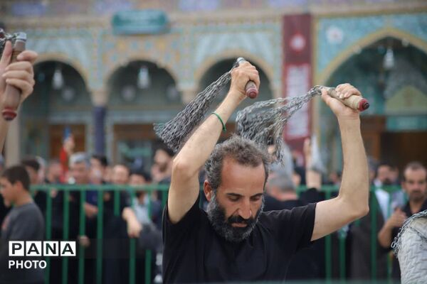 حضور دسته جات عزاداری سالروز شهادت امام حسن مجتبی(ع) در حرم بانوی کرامت