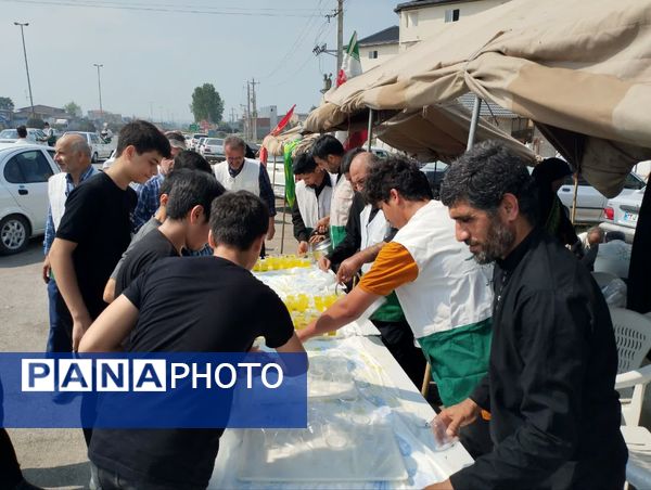 برپایی موکب امام رضا(ع) در میاندورود 