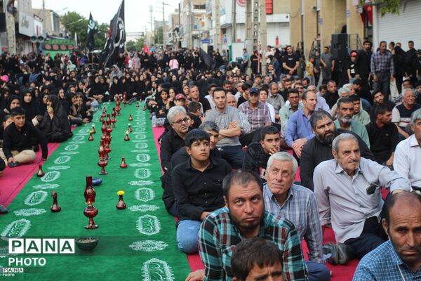 زنجان در سوگ دردانه کربلا؛ آیین عزاداری حضرت رقیه (س)