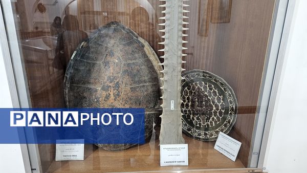 کلیسا وانک یکی از کلیساهای تاریخی ارامنه شهر اصفهان