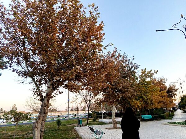 طبیعت زیبای کاشمر در پاییز