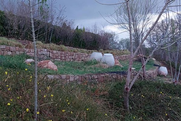 باغ گل ها در شهر گل ها شیراز