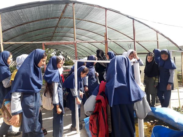 بازدید دانش‌آموزان مدرسه شهید خاقانی از گلخانه پیشه‌وران شیروان