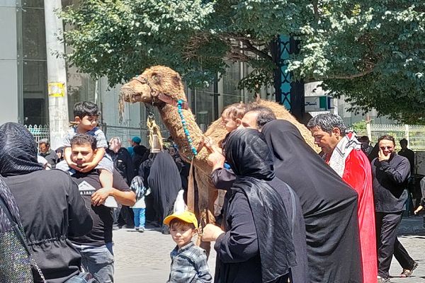 اجتماع بزرگ جاماندگان اربعین در مشهد 