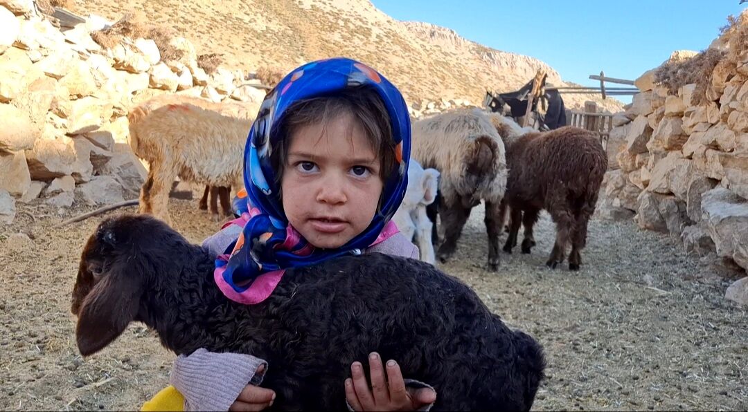 کوچ پاییزی عشایر ایران آغاز شد