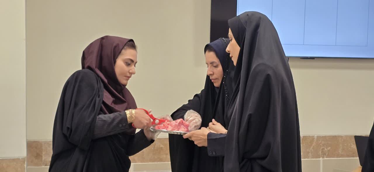 اجرای طرح توانمندسازی معلمان «توانا» در شهرستان بافق