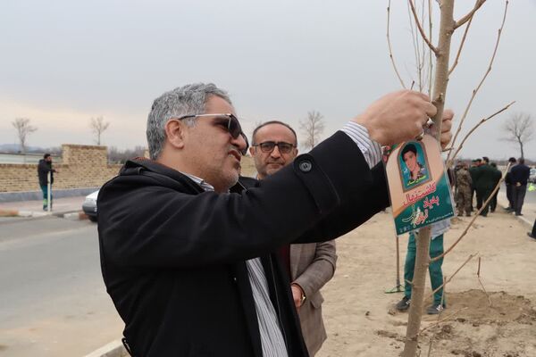کاشت درخت به یاد شهدا در محمدشهر 