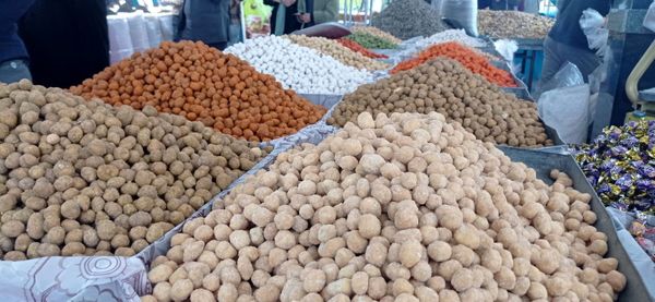 برپایی نمایشگاه بهاره در کاشمر