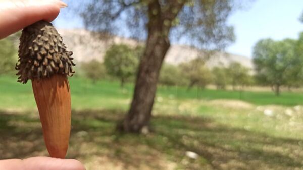 مسیر قارون تا قلعه مدرسه در واپسین لحظه‌های بهار