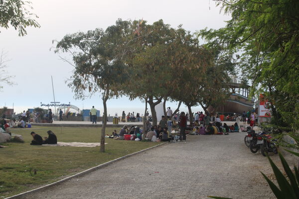 روز طبیعت در بوشهر