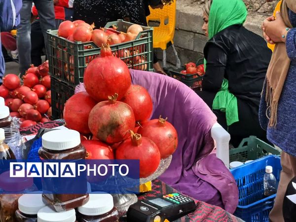 برگزاری جشنواره اناردون در روستای محمودآباد شهرستان فیروزکوه