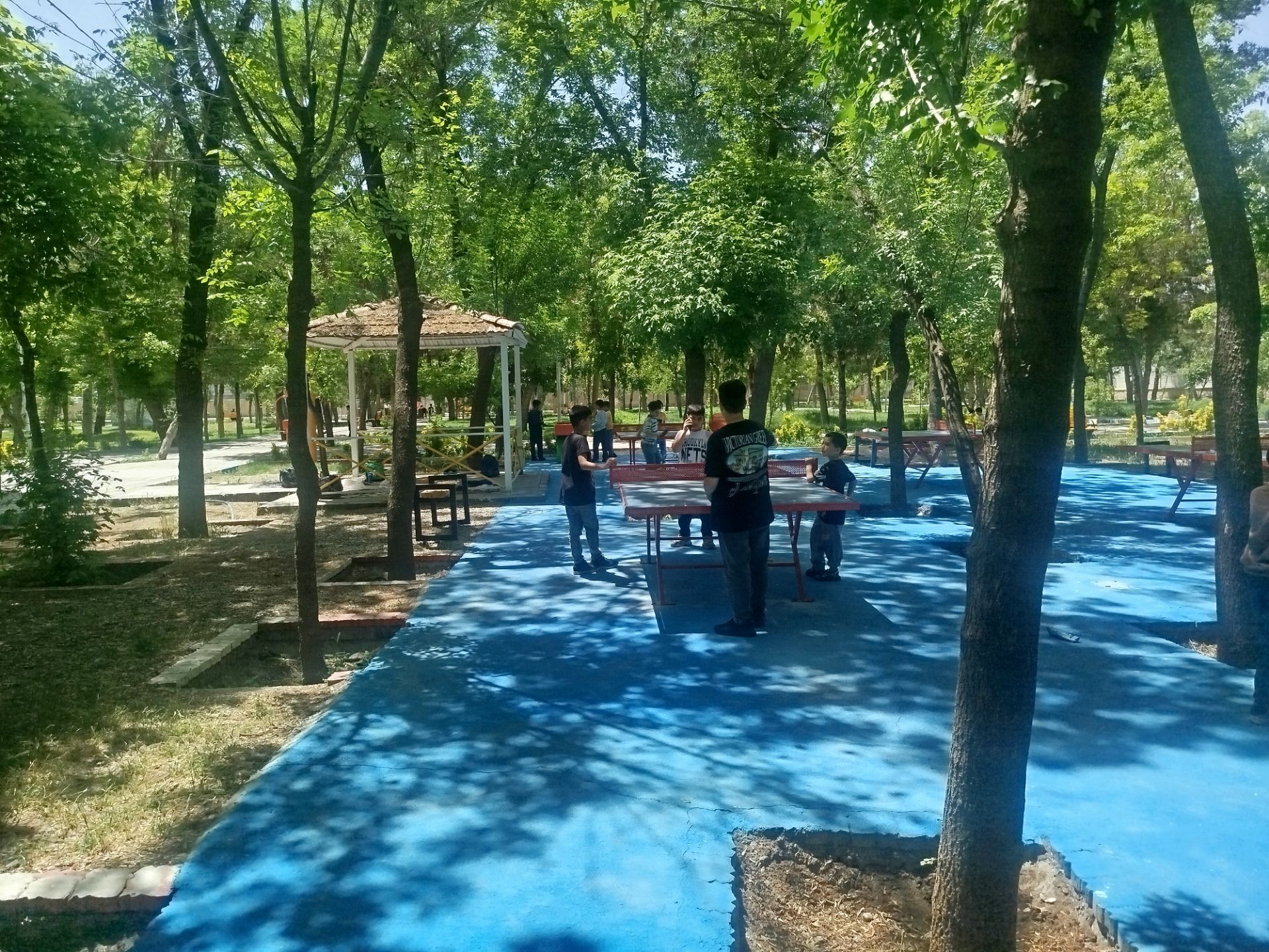 اردوی دانش‌آموزان مدرسه پسرانه مبین در پارک جنگلی شیروان