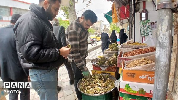 عطر بهار در کوهستان های تویسرکان؛ رویش سبزیجات