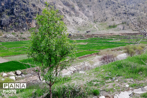 طبیعت روستای بیدله به هنگام بهار